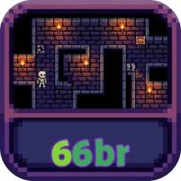 66br