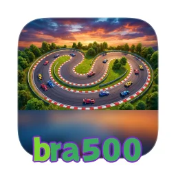 bra500