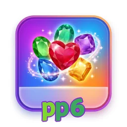 pp6